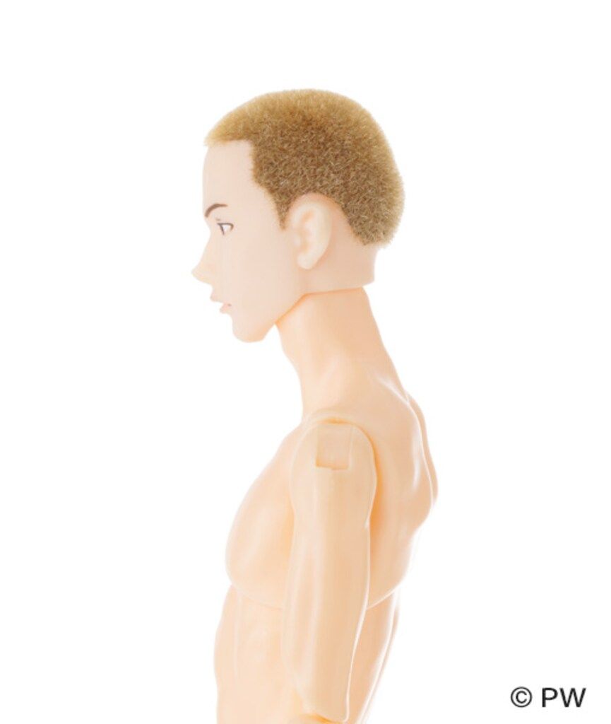 六分の一男子図鑑 ナイン