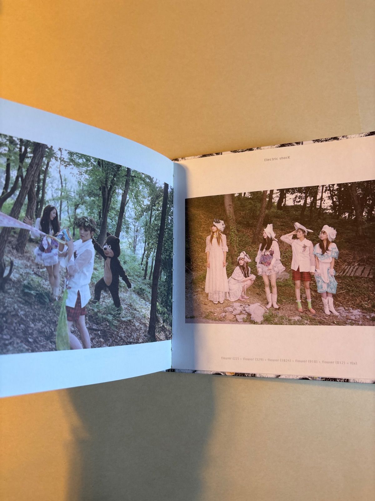 f(x) 2nd Mini Album - Electric Shock (韓国盤) f(x) (エフエックス