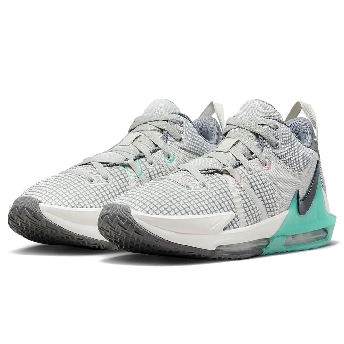 NIKE レブロン ウィットネス 7 EP LEBRON Witness ライトボーン|ファントム|フラットピューター|ブラック DM 1122-006 日本 26.0 cm