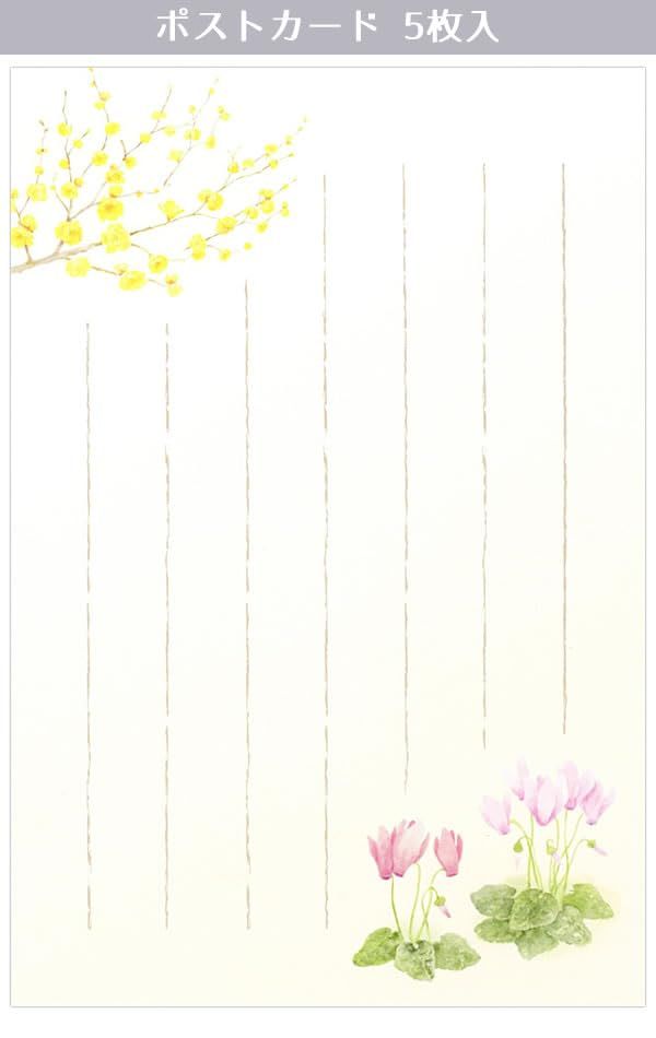 はがき 冬柄 冬五集 冬日向に咲く3A 5812870 （28） 5枚入り ハガキ