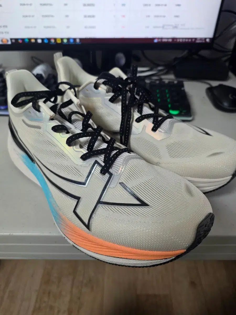 エックスタップ ランニングシューズ 265 xtep