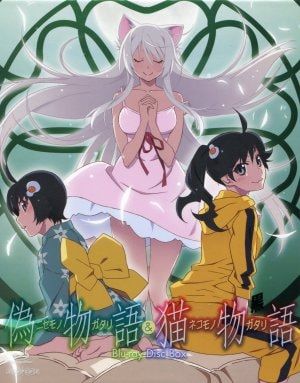 Blu-ray／偽物語&猫物語(黒) Blu-ray Disc Box 初回限定版 - メルカリ