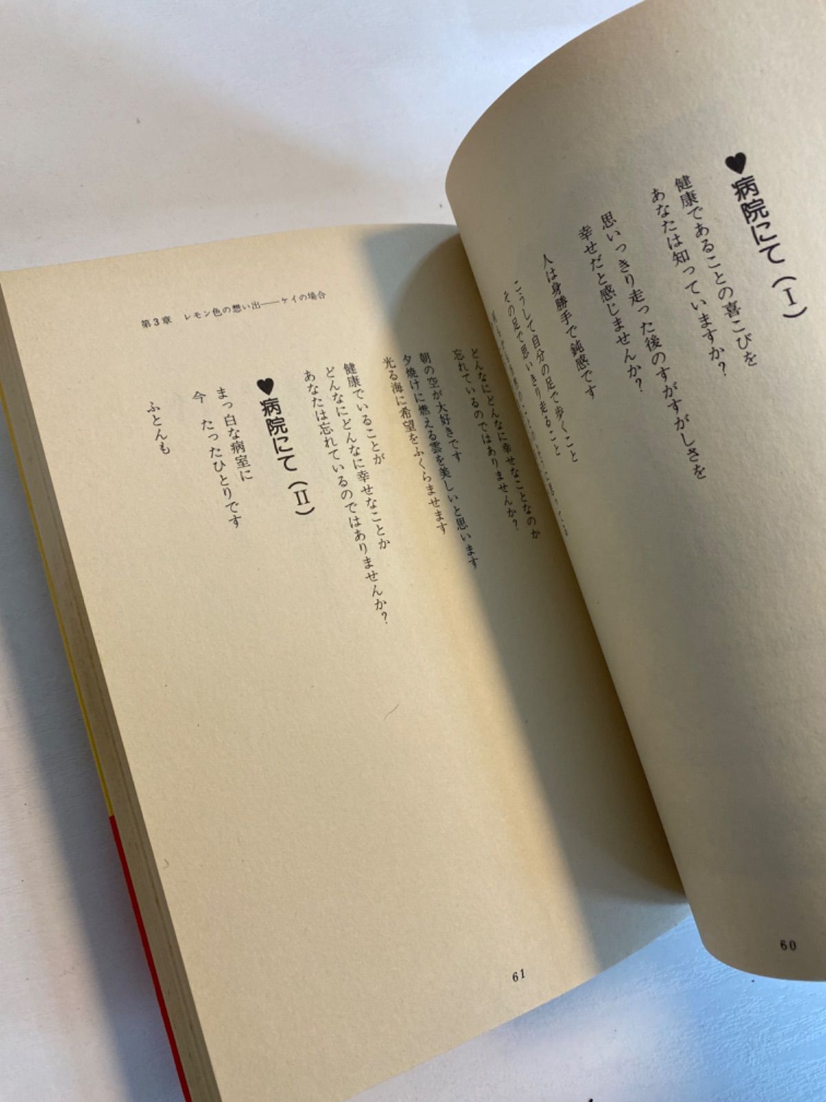 V/【小説】ピンク・レディ 2冊セット 『ケイとミーの作った本』レオ