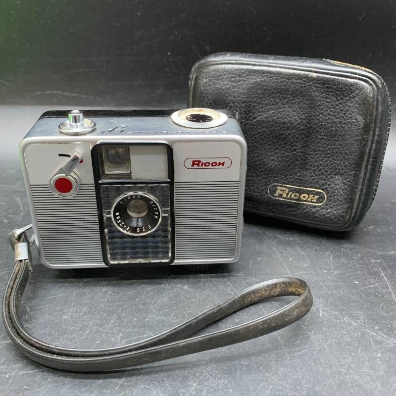 Z393 RICOH AUTO HALF S リコーオートハーフS黒縞模様 ハーフサイズ