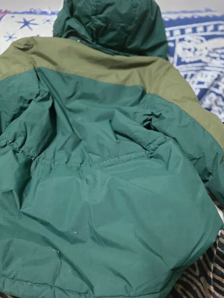 グリーン ダウン