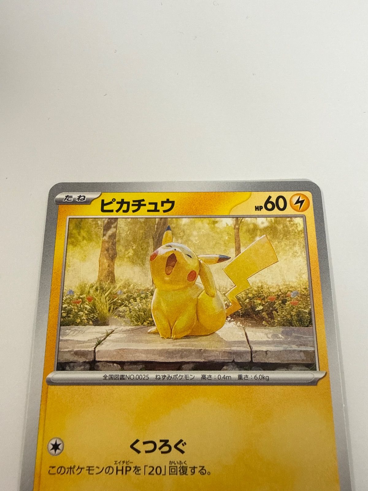 ポケモンカード ピカチュウ イラストレーションコンテスト プロモ