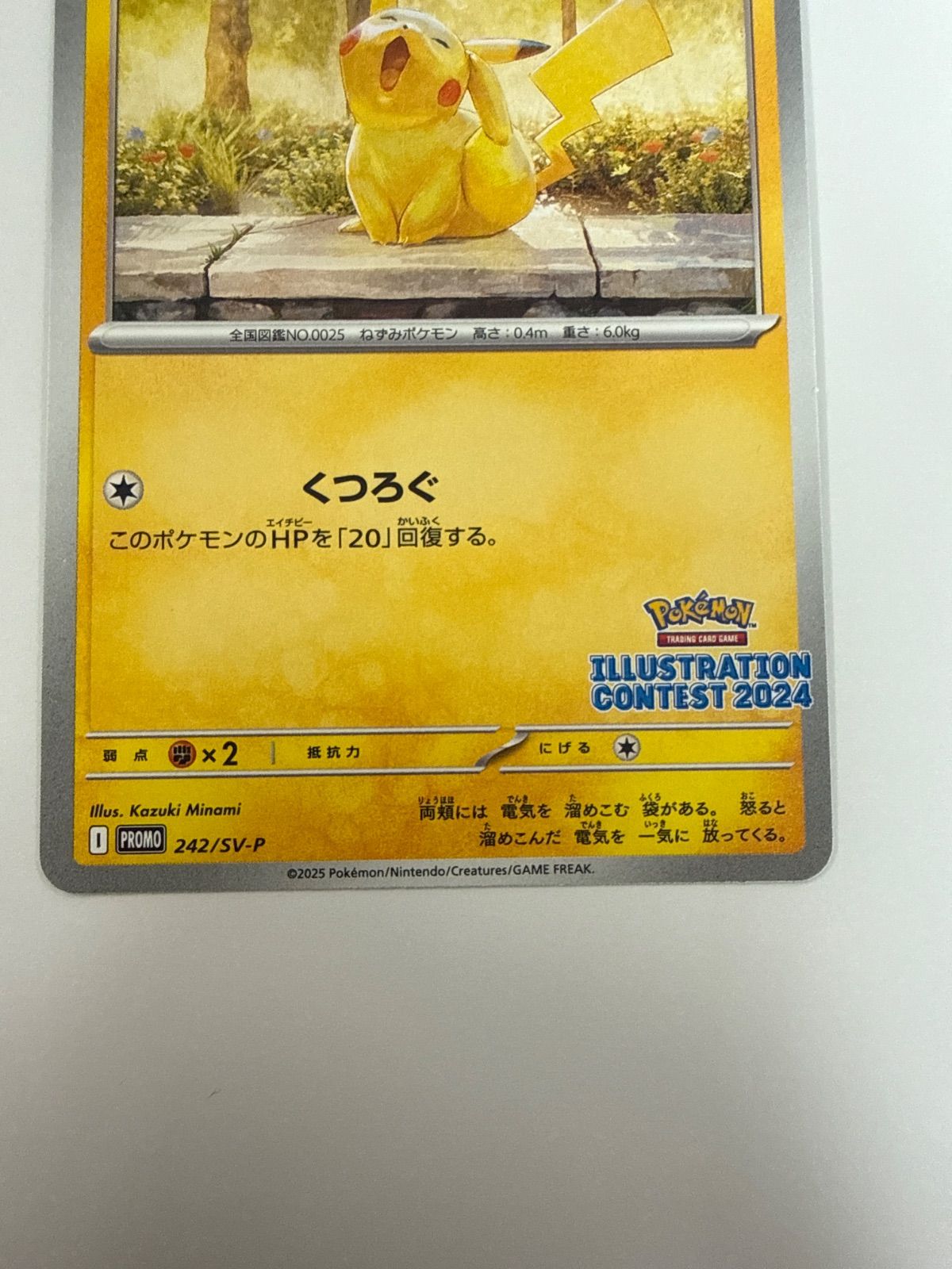 ポケモンカード ピカチュウ イラストレーションコンテスト プロモ