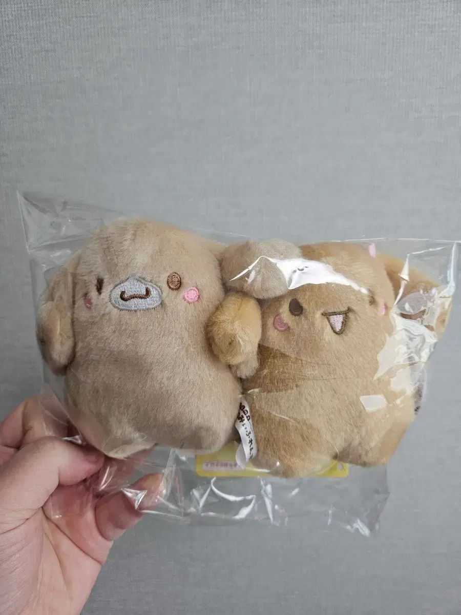 サンリオ シナモロール 友達 モカ カプチーノ 2種セット