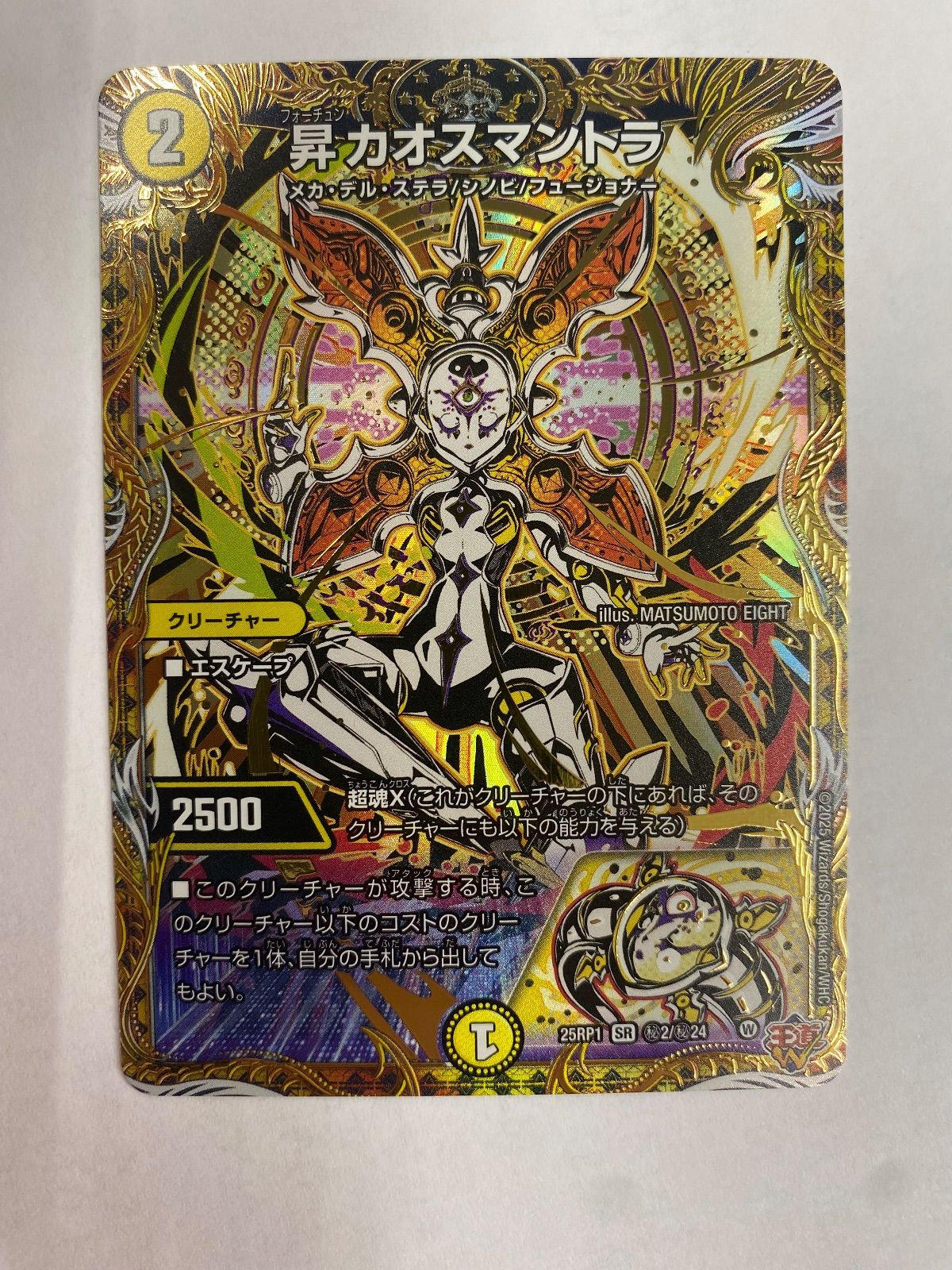 昇カオスマントラ 秘2/秘24 1枚 【デュエマ】 - メルカリ