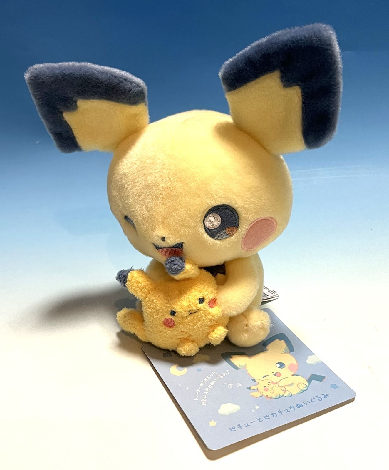 新品 ぬいぐるみ Little Daydream 5点セット ポケモン ポケセン