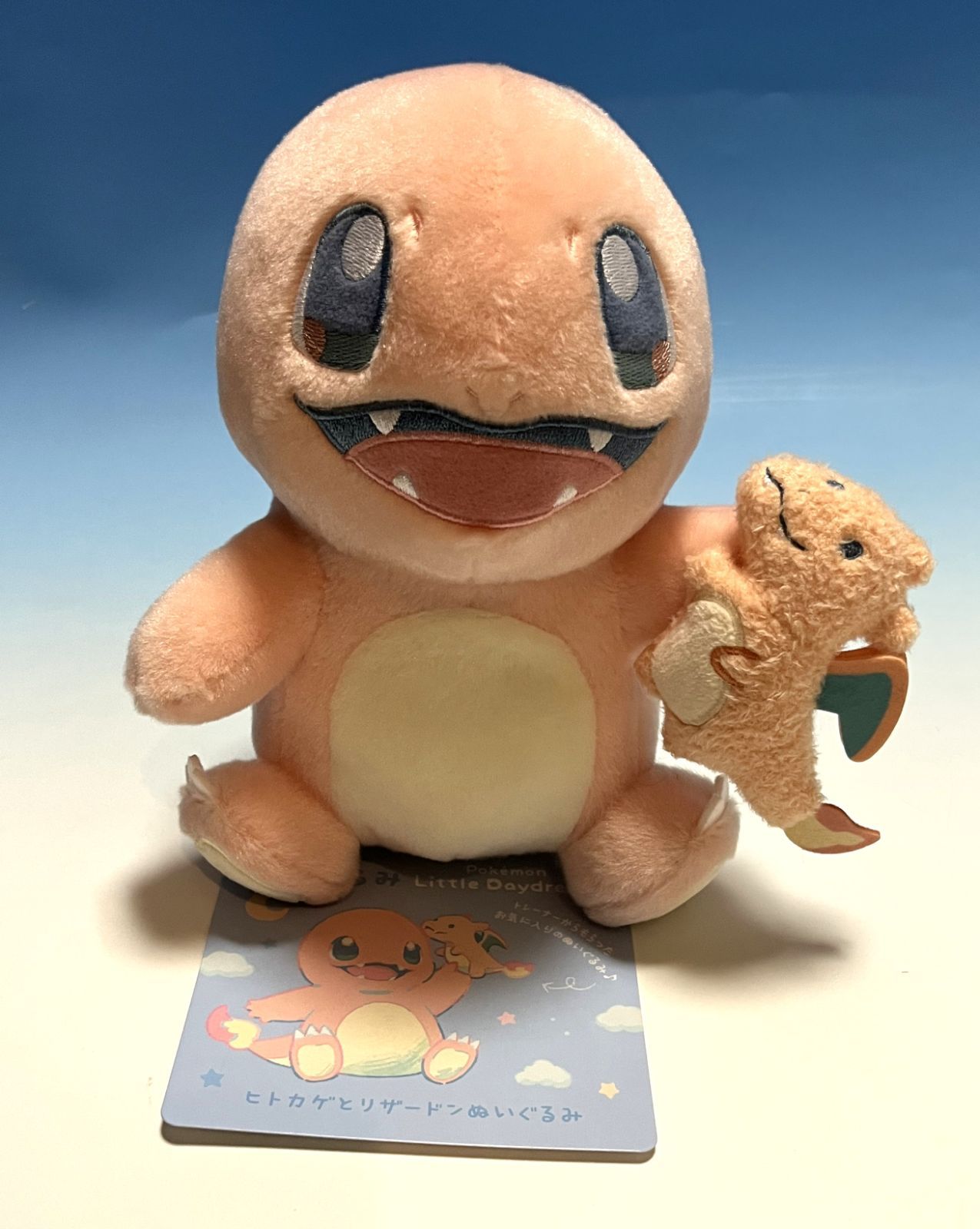 新品 ぬいぐるみ Little Daydream 5点セット ポケモン ポケセン