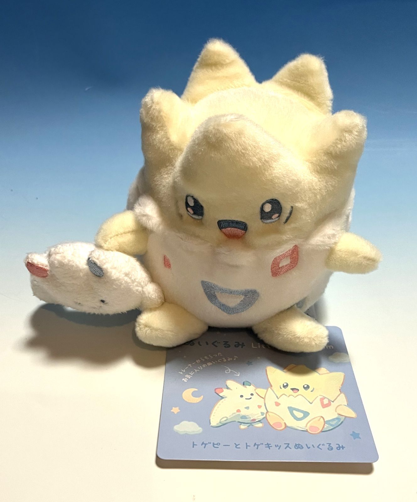 新品 ぬいぐるみ Little Daydream 5点セット ポケモン ポケセン