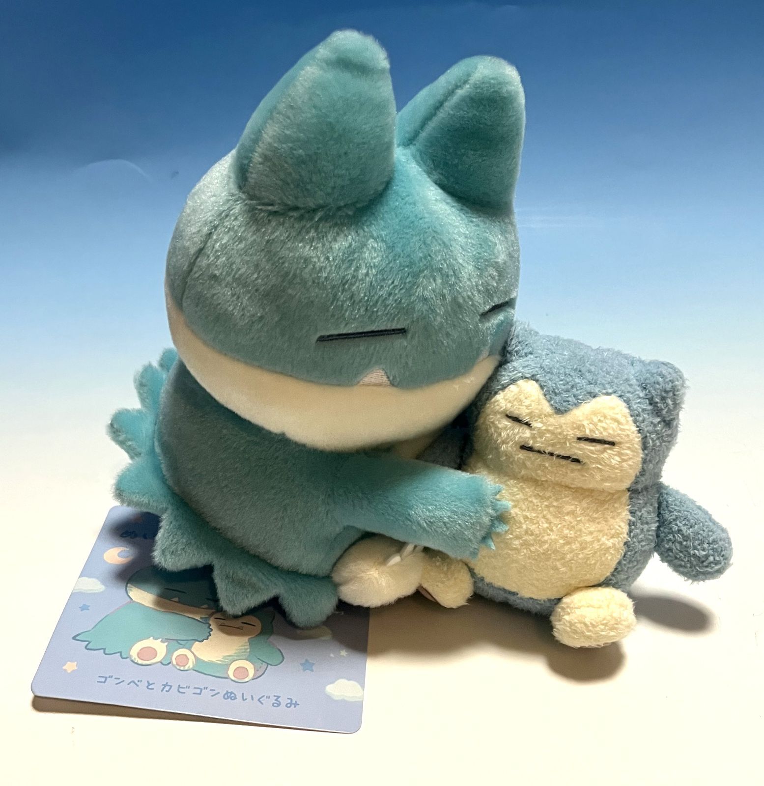 新品 ぬいぐるみ Little Daydream 5点セット ポケモン ポケセン