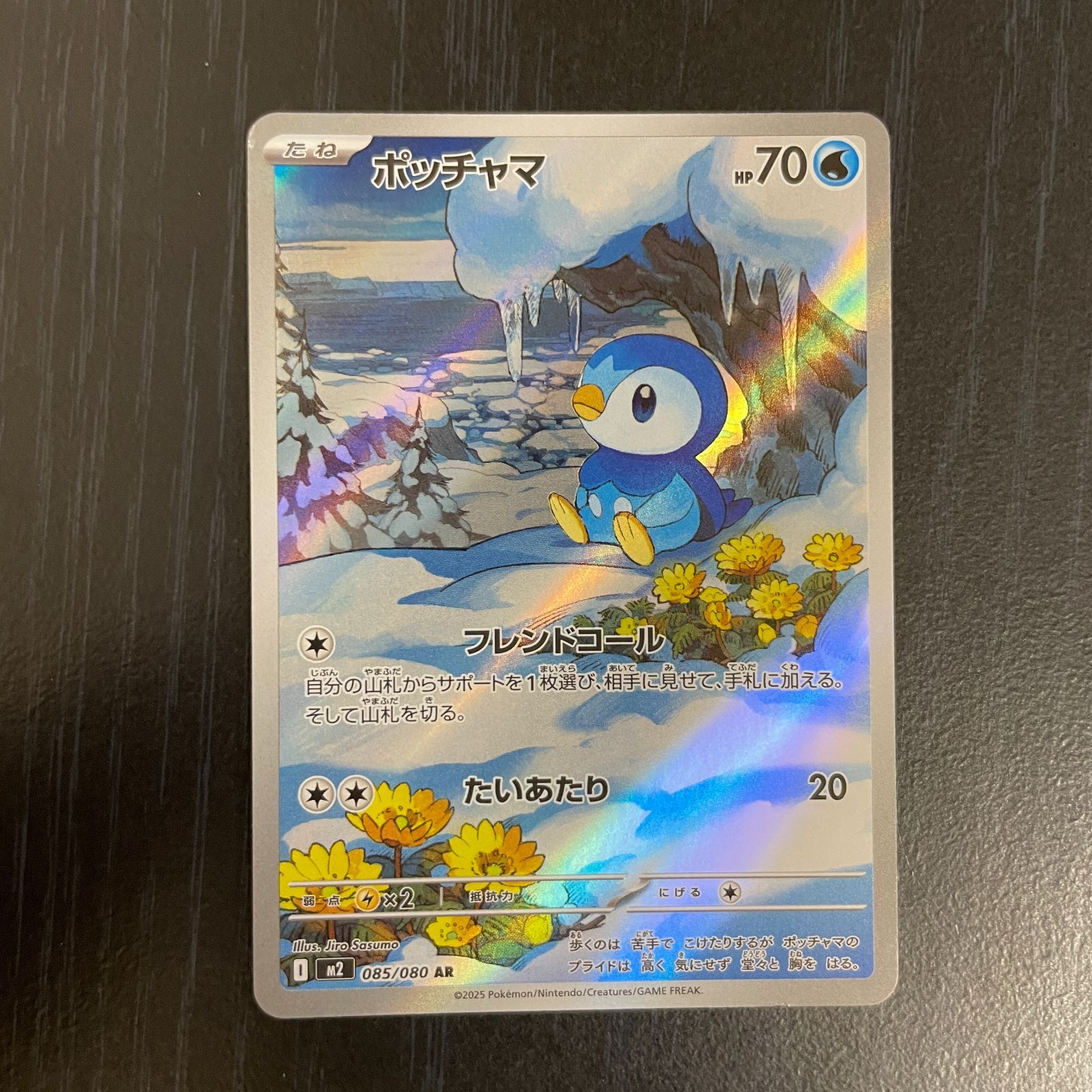 弘前】ポッチャマ AR 085/080 - メルカリ