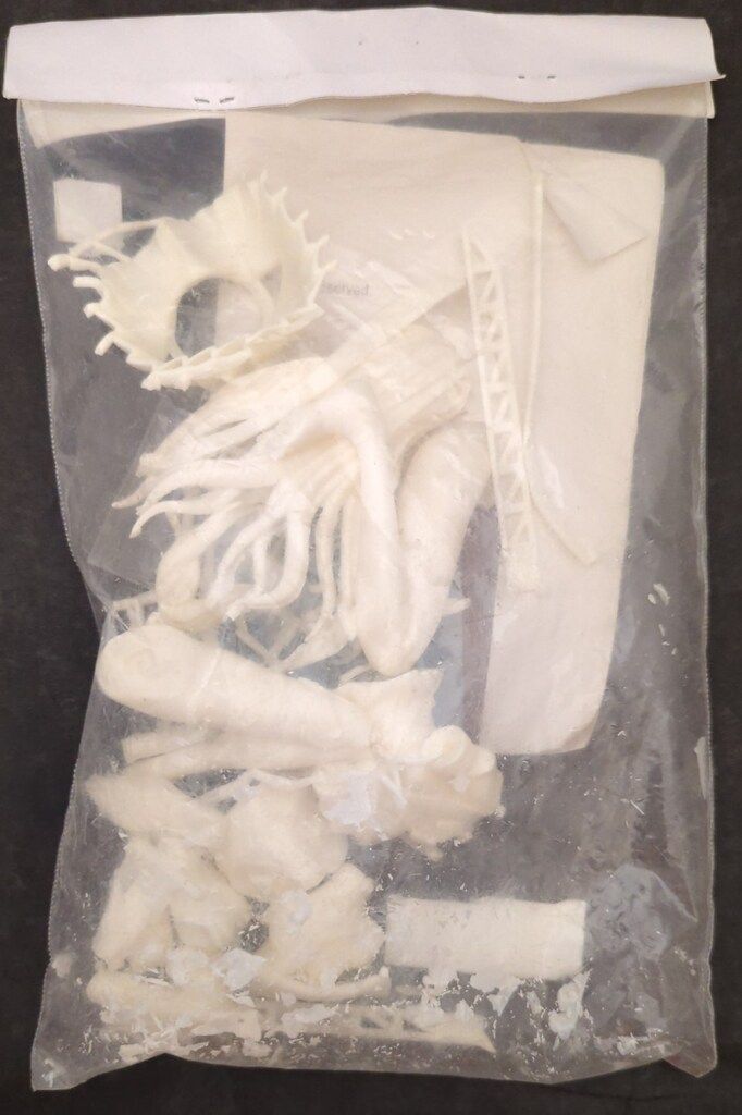 土管ハウジングセンター名古屋 貝 軽巡洋艦 大淀 キャスト