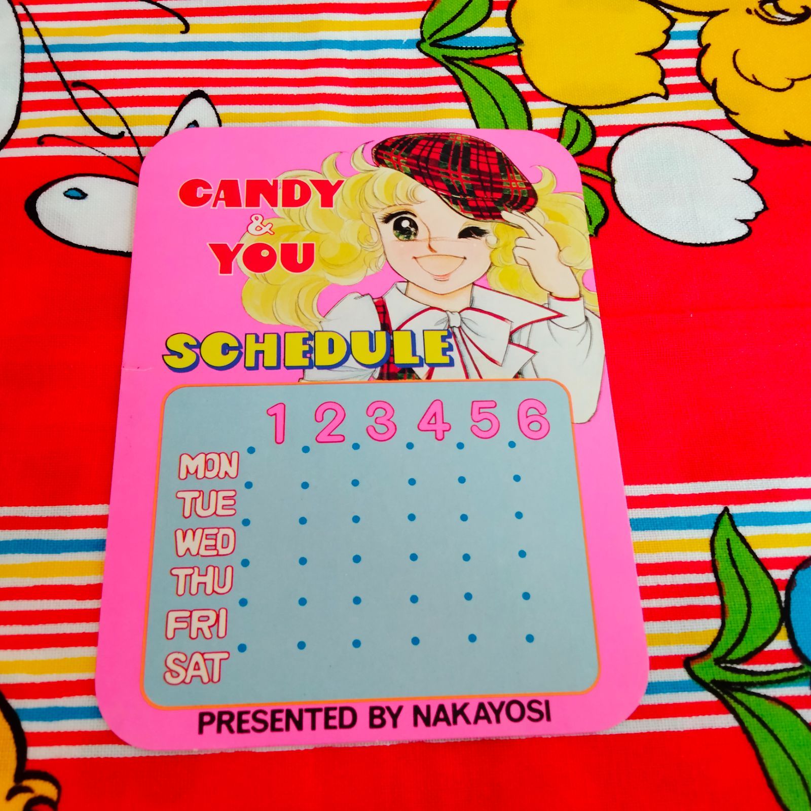 昭和レトロ】キャンディキャンディ なかよし付録 当時物 サイン入