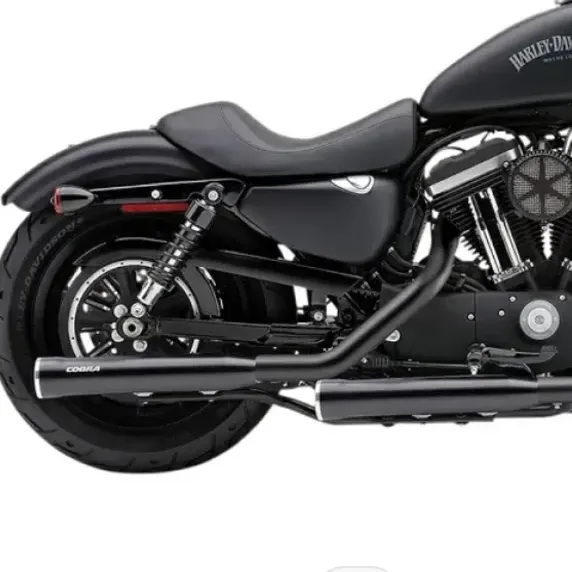 2026年最新】XL1200X 純正マフラーの人気アイテム - メルカリ