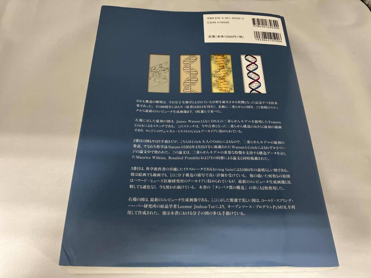 ワトソン 遺伝子の分子生物学 第7版 James D.Watson - メルカリ