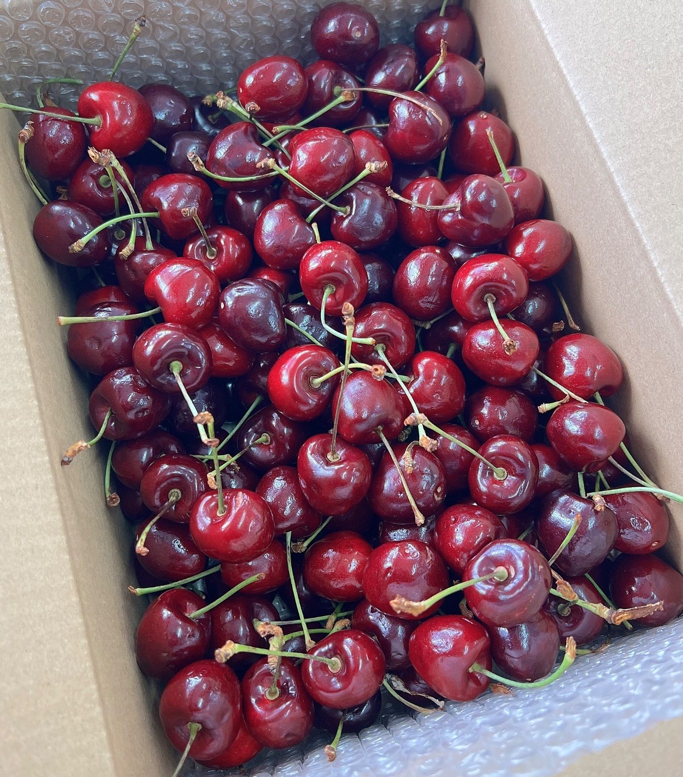 高級プレミアムチェリー 2kg 糖度23.8度！- メルカリ