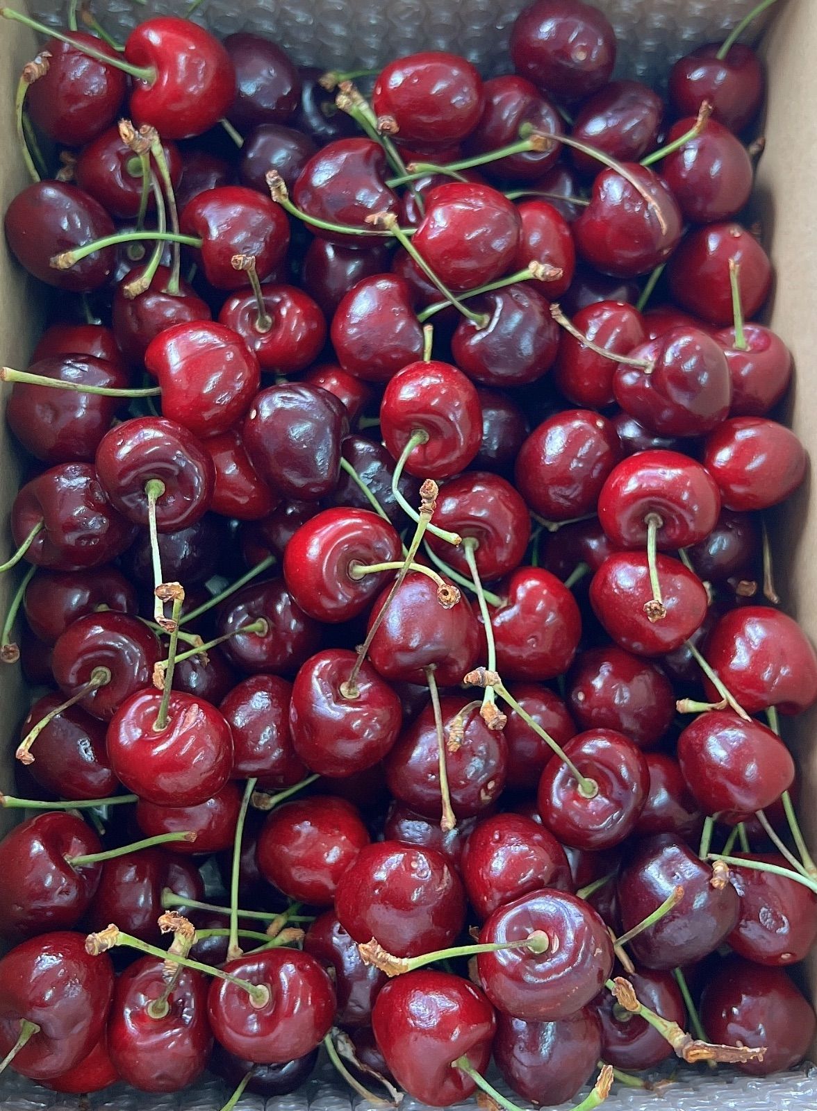 アメリカチェリー2.5kg 大号高級 ameche2k_c5.jpg