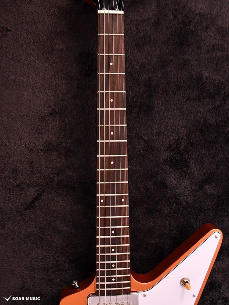 Bacchus BEX-STD/S COR(カッパーオレンジ) #CI21271 グローバル