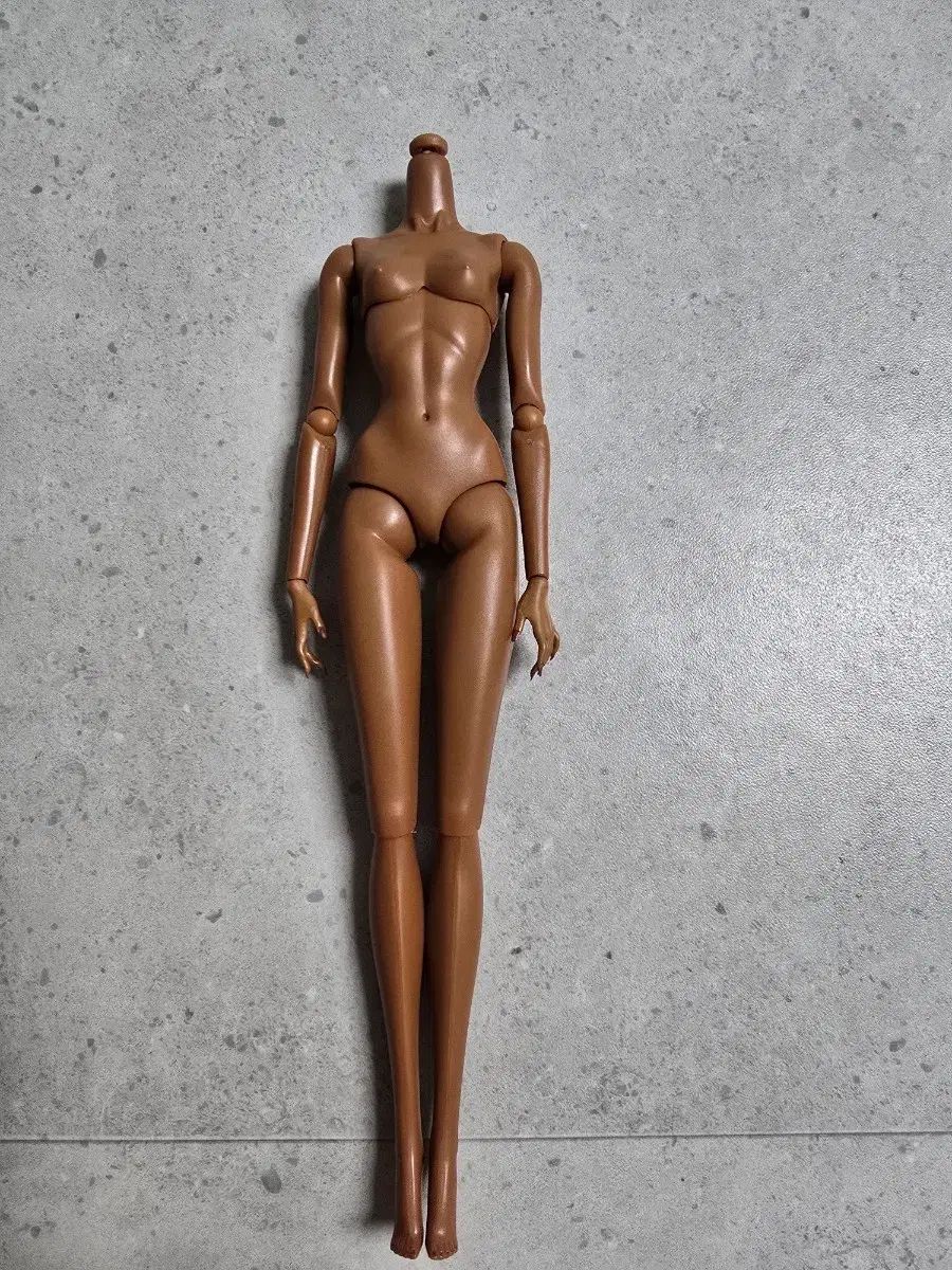 ファッションロイヤルティ ボディ frブラック ほぼ