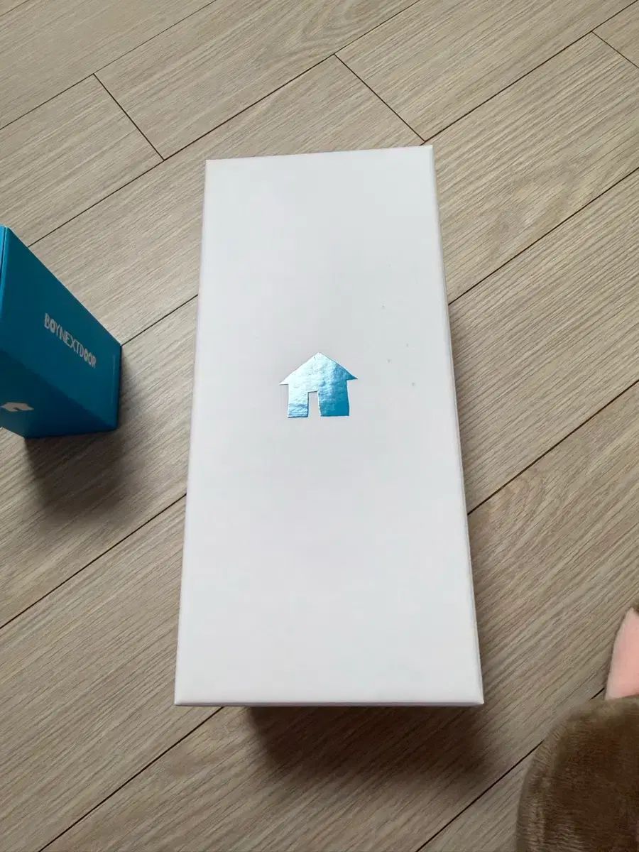 BOYNEXTDOOR ボイネク ペンライト