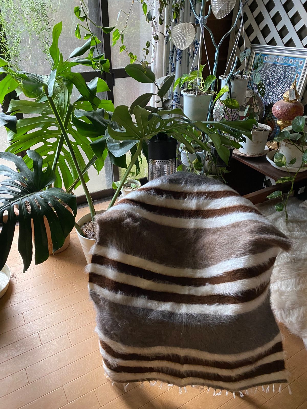 動物を傷つけないエコな織物