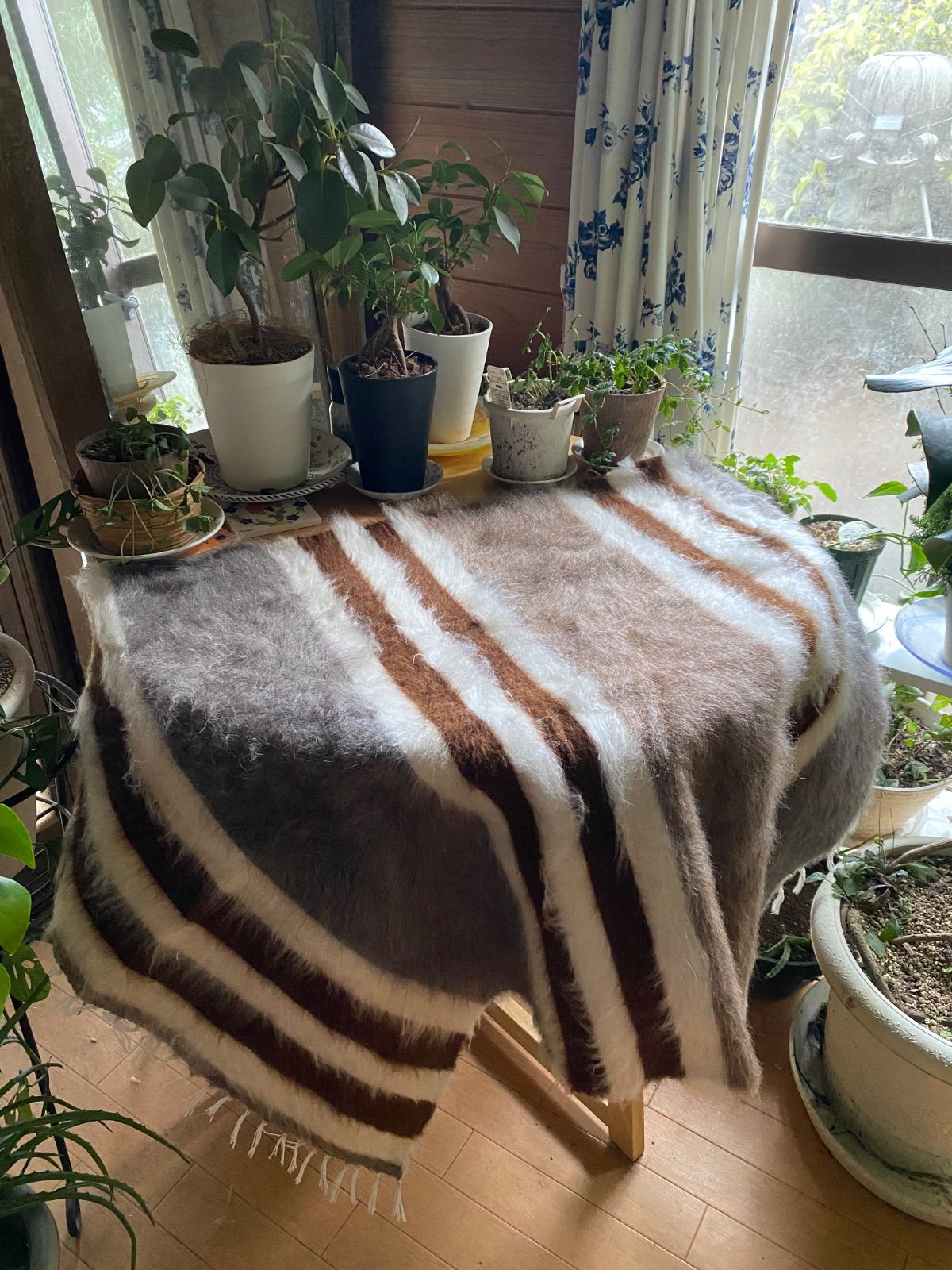 トルコの東シイルトで140年前から織られているアンゴラヤギのモヘアで織られた毛布