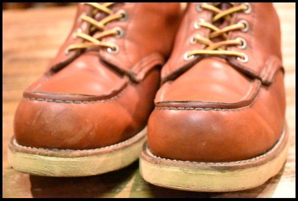 875 アイリッシュセッター