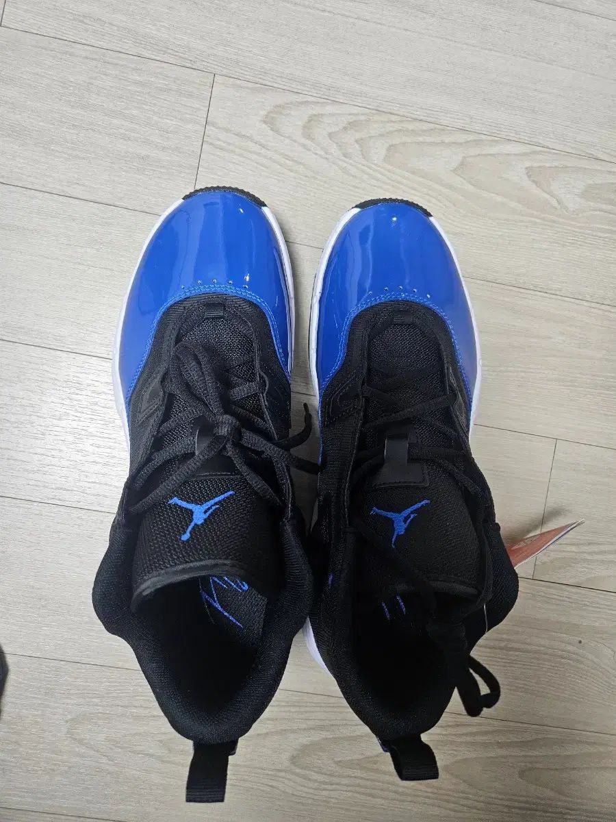 NIKE ジョーダン STAY ロイヤル3 ブルーブラック 275 FB 1396-041