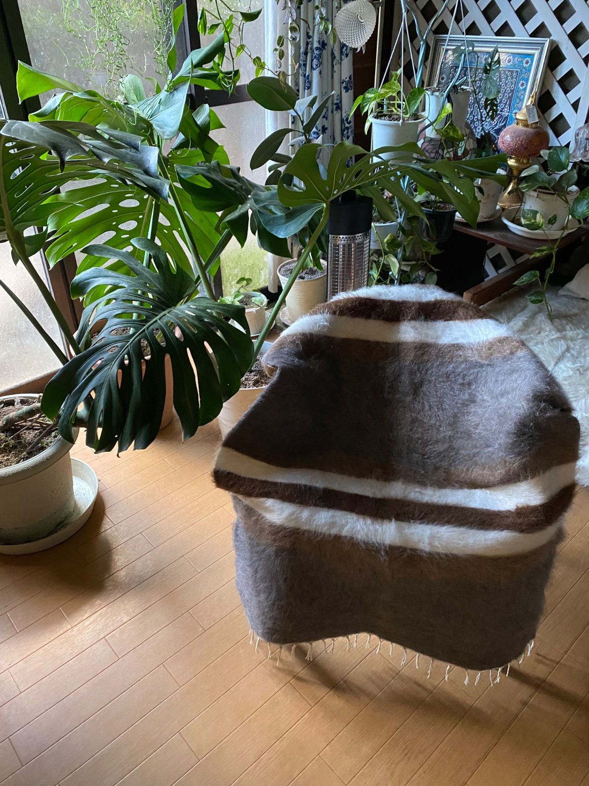 トルコ発アンゴラ山羊のモヘアの毛布新しいシイルトバッタニエ 当店オリジナル膝掛けサイズ モフモフ暖かいシイルトバッタニィエ を楽しめる素敵なボーダー 人にも動物にも優しい四季を通じて楽しめるシイルトバッタニエ 当店現地直輸入で実現の価格 ギフトにも最適