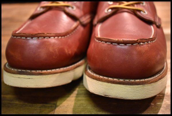 アイリッシュセッター