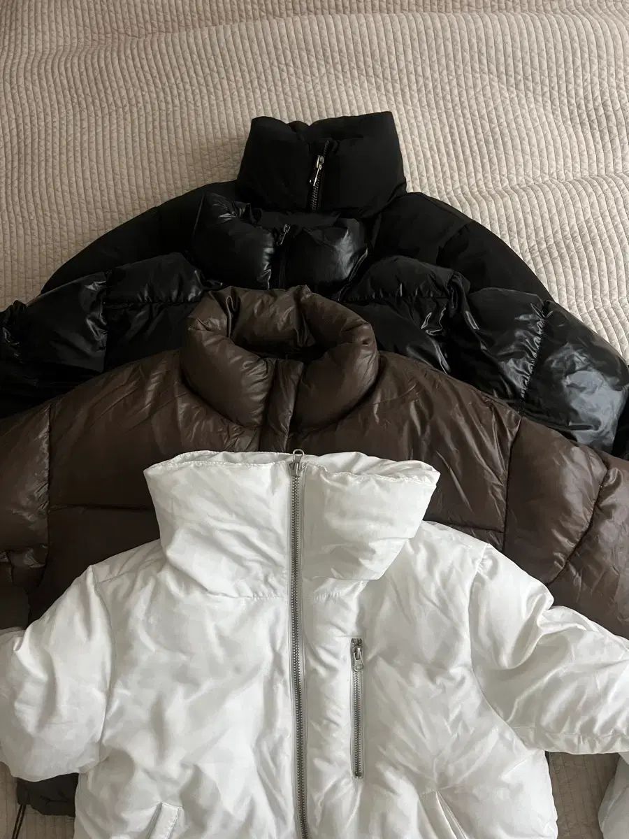 ビターセルズ エイトセカンズ FOREVER 21 フォーエバー トゥエンティーワン Bershka クロップドダウン