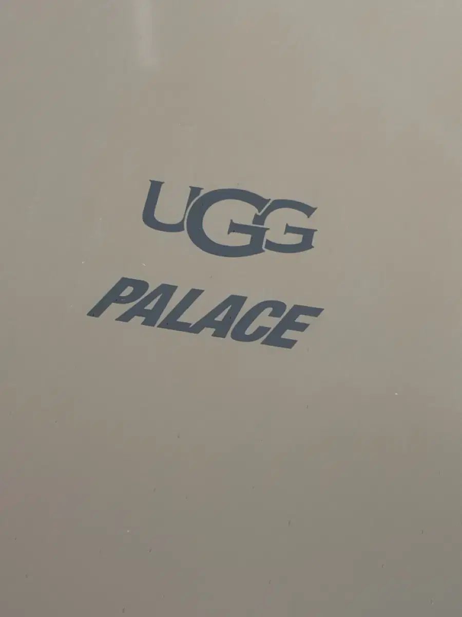 アグ x パレス タスマン スリッパ チェスナット