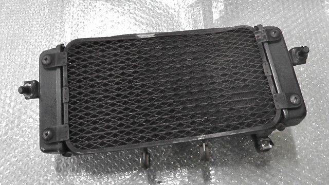 Vストローム250 xxx の ラジエター