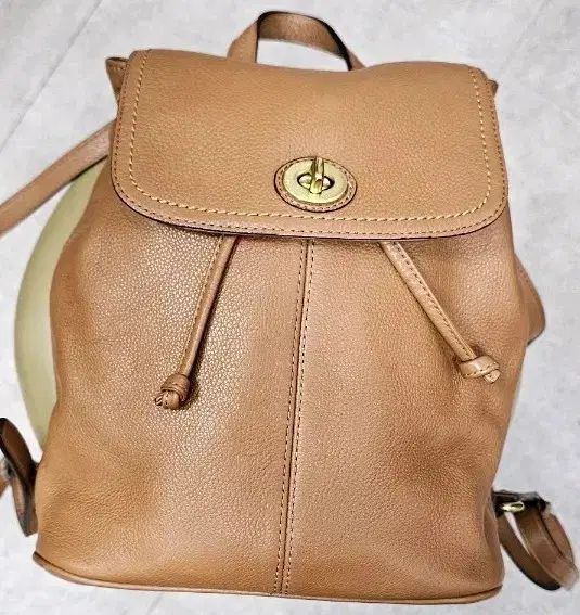 COACH コーチ バディガン バックパック