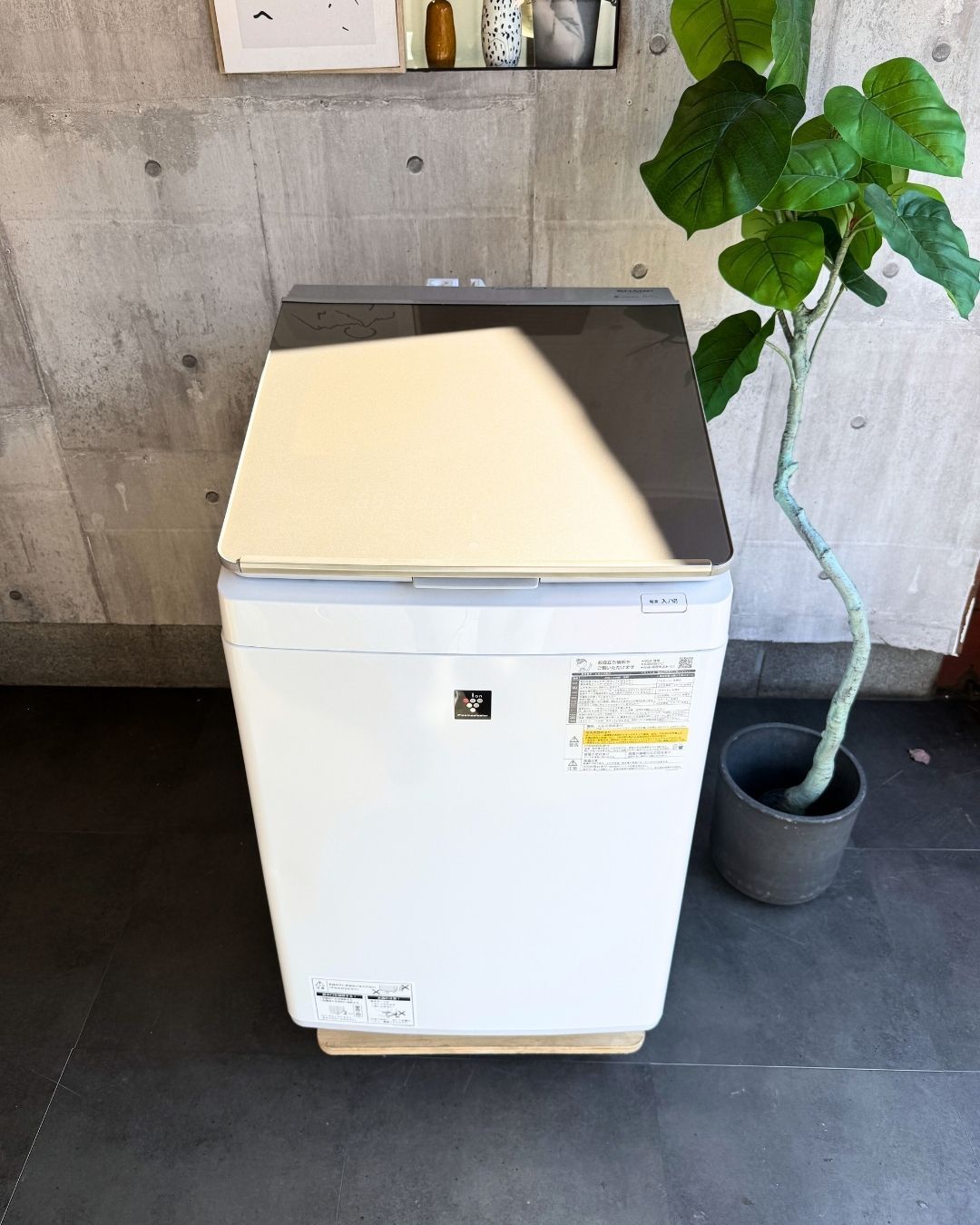 設置まで SHARP ファミリー用洗濯機 8 kg 2025年製