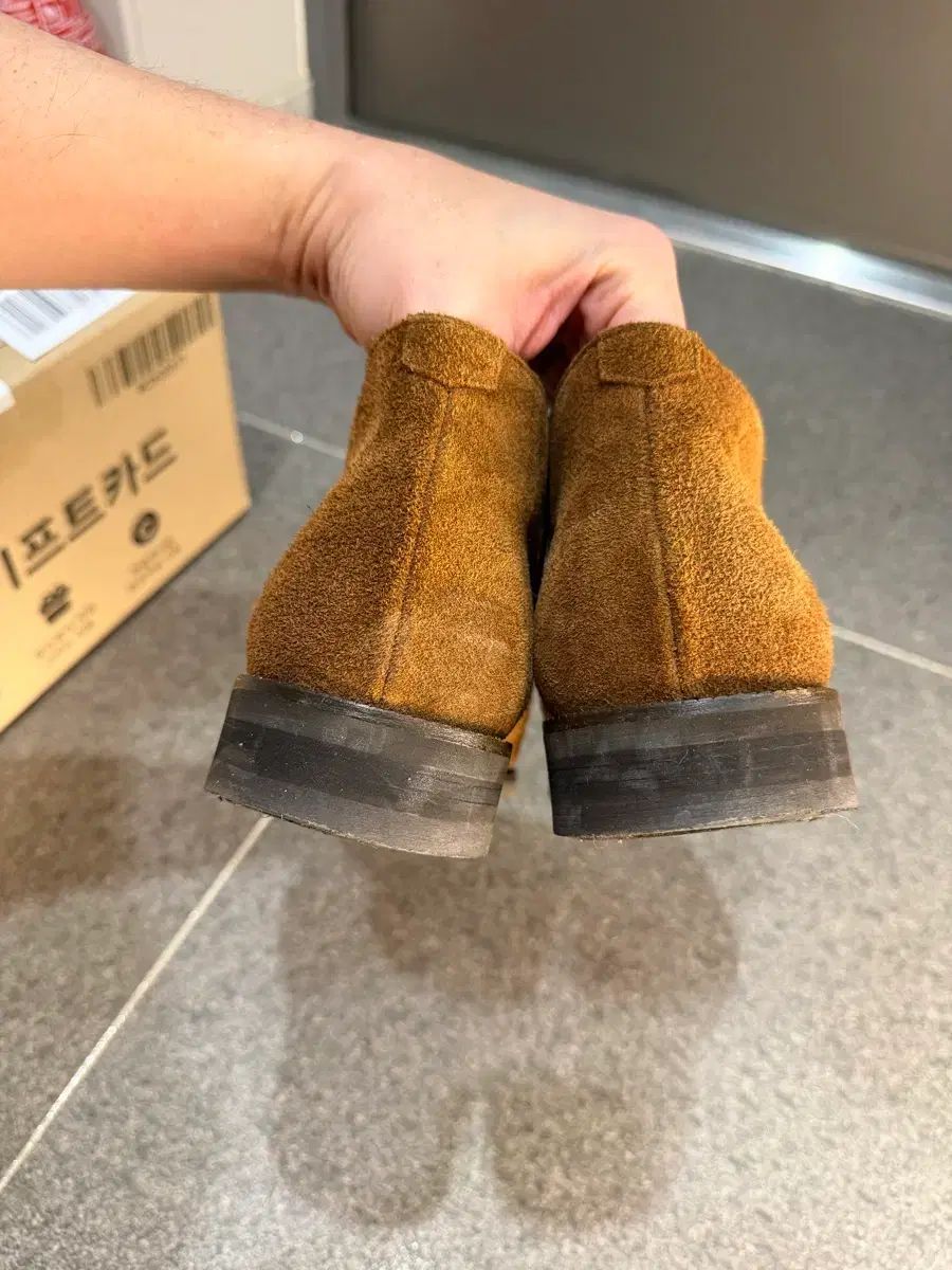 キャンパス スナッフ