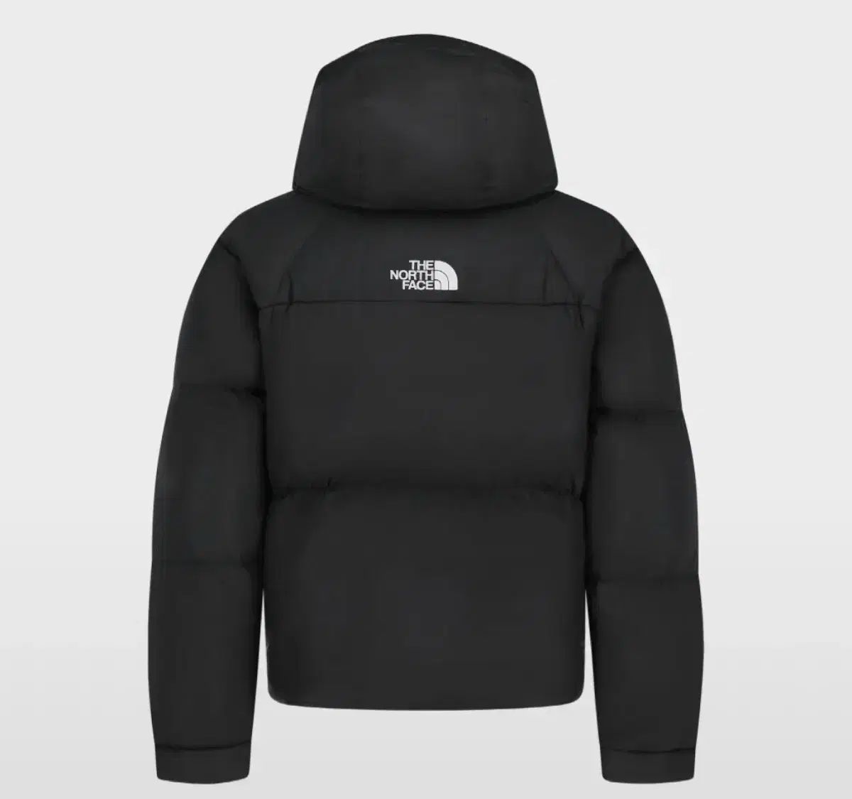 85 THE NORTH FACE ザノースフェイス 白ラベル プロジェクト ダウン