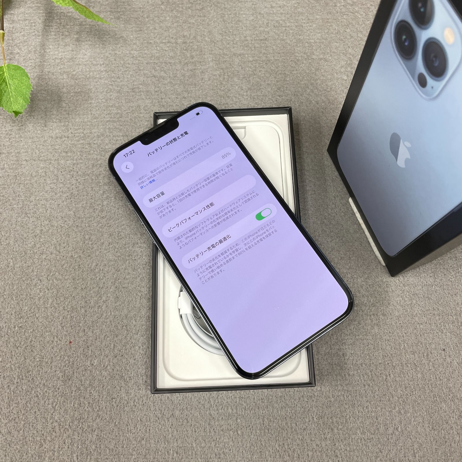 iPhone 13 ProMax シエラブルー 128 Gb 版SIMフリー