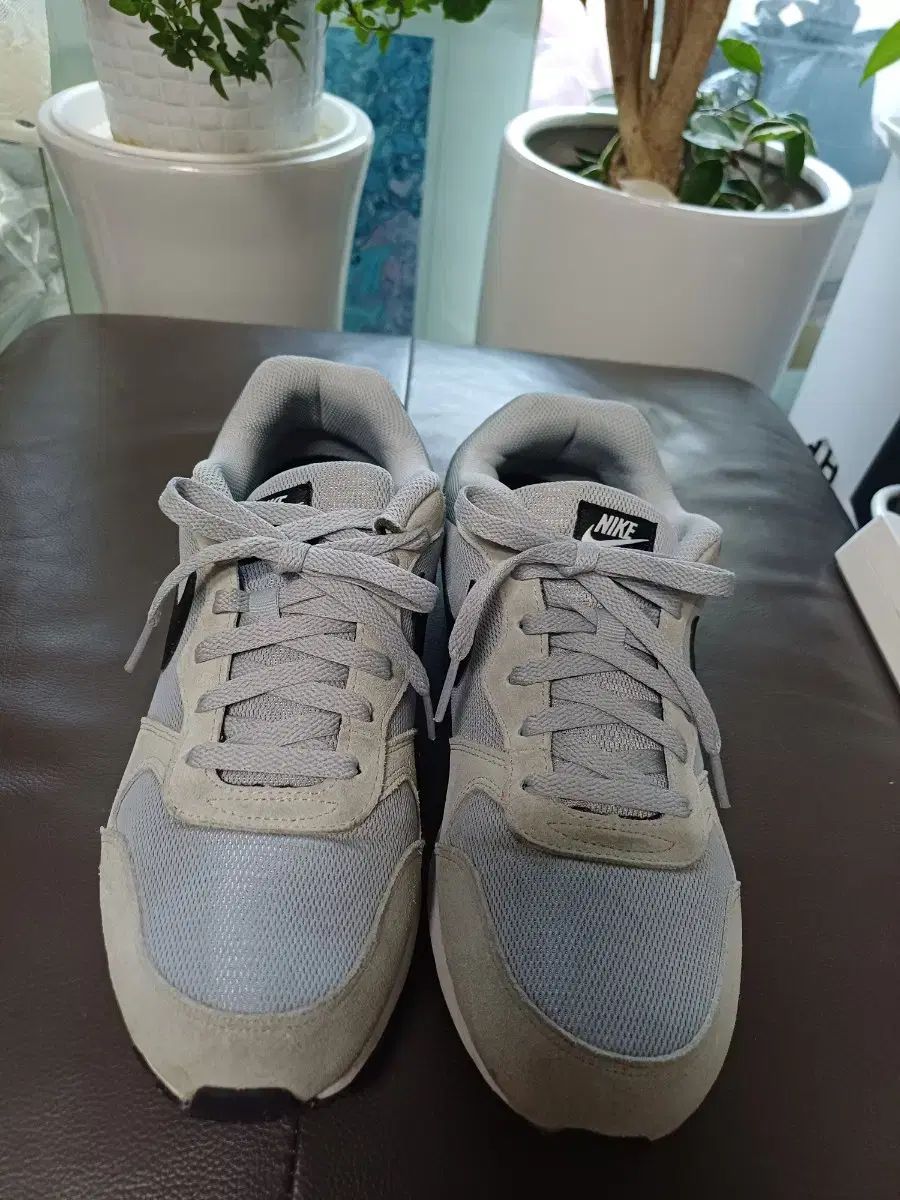 メンズ NIKE スニーカー 260