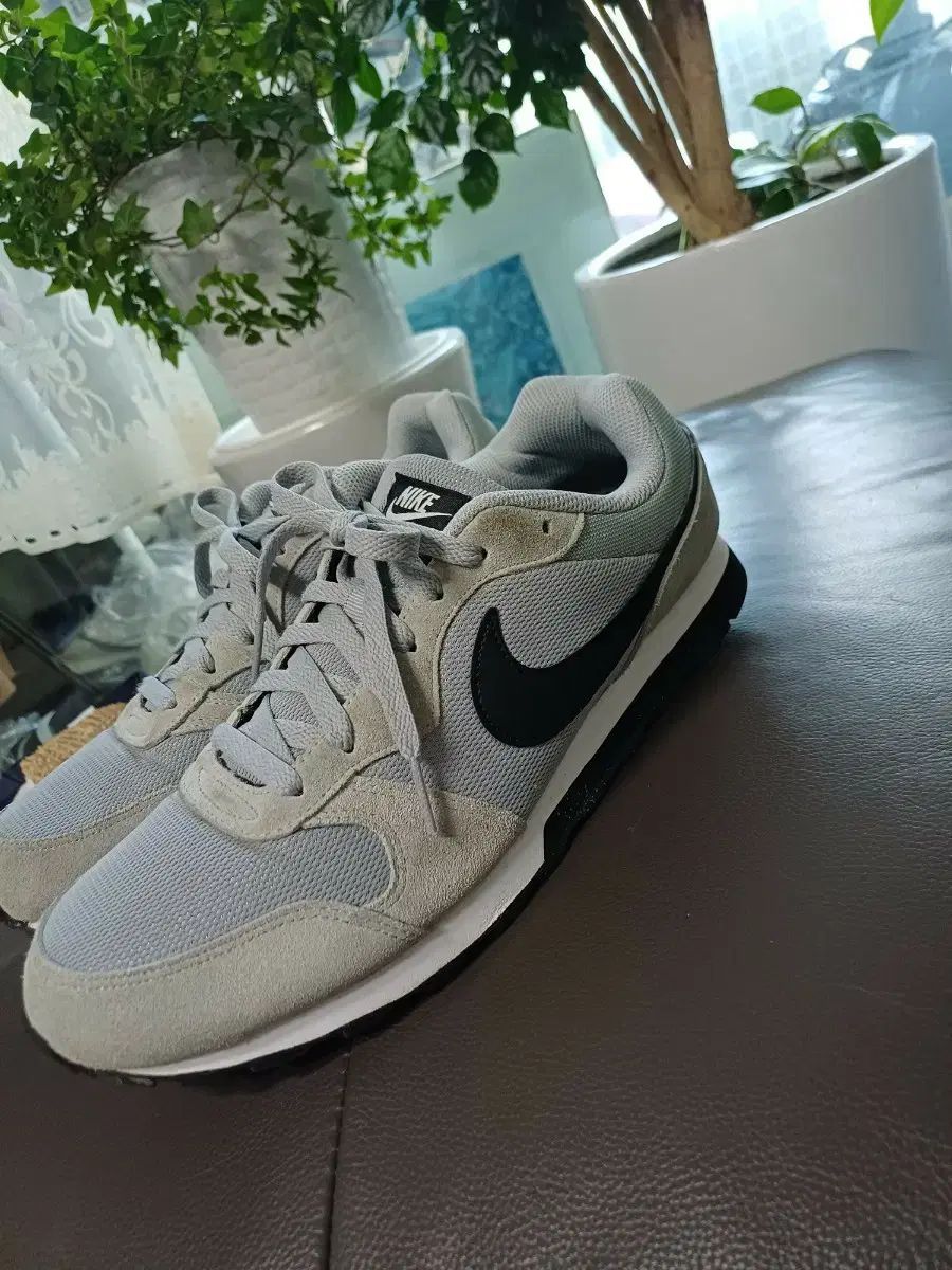 メンズ NIKE スニーカー 260