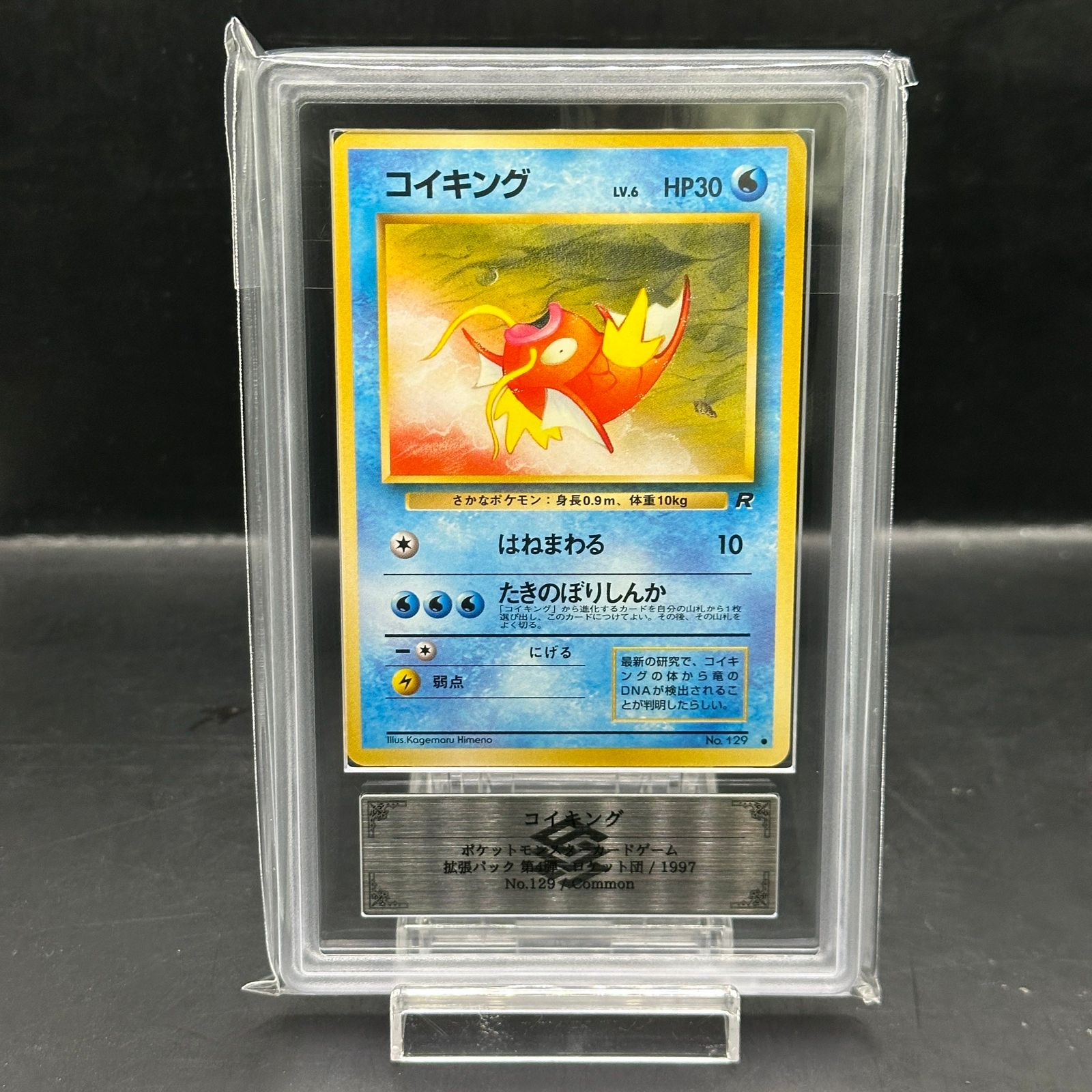 【ARS10】 コイキング 旧裏 マークあり 鑑定品 鑑定書付き ARS10】 コイキング [旧裏第4弾/ロケット団] [旧裏] 1枚 - メルカリ