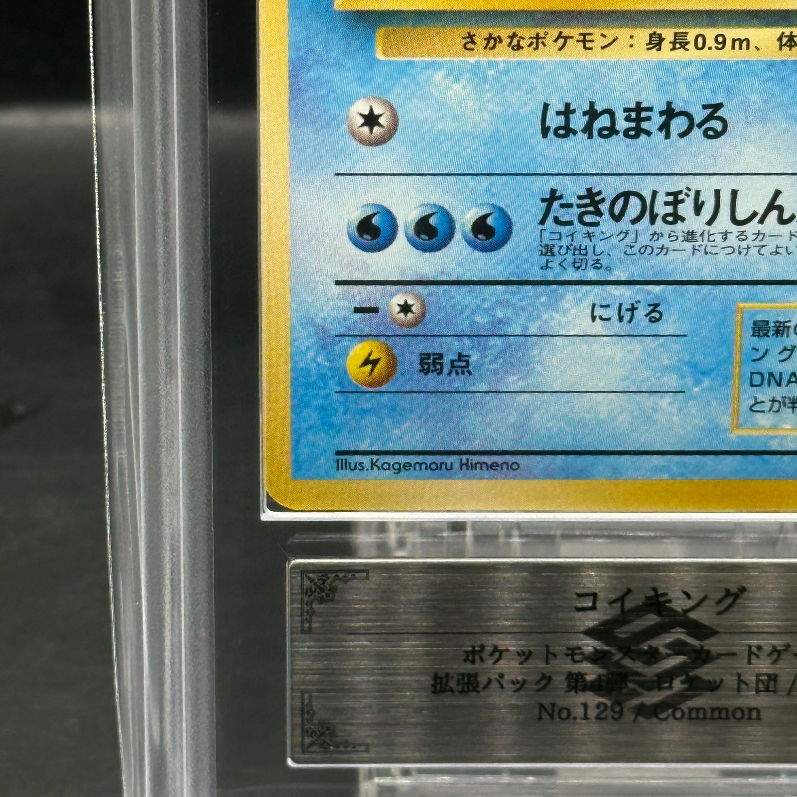 【希少/ARS10】旧裏 コイキング 第4弾拡張パック ロケット団 ARS10】 コイキング [旧裏第4弾/ロケット団] [旧裏] 1枚 - メルカリ