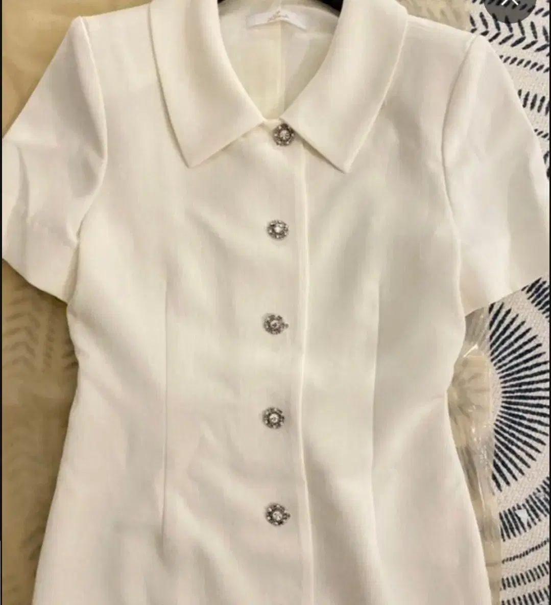 披露毛糸 初顔合わせ