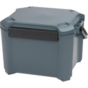 JEJアステージ JEJ Astage クーラーボックス コアフラックス 26 CF IG CRFX 1469