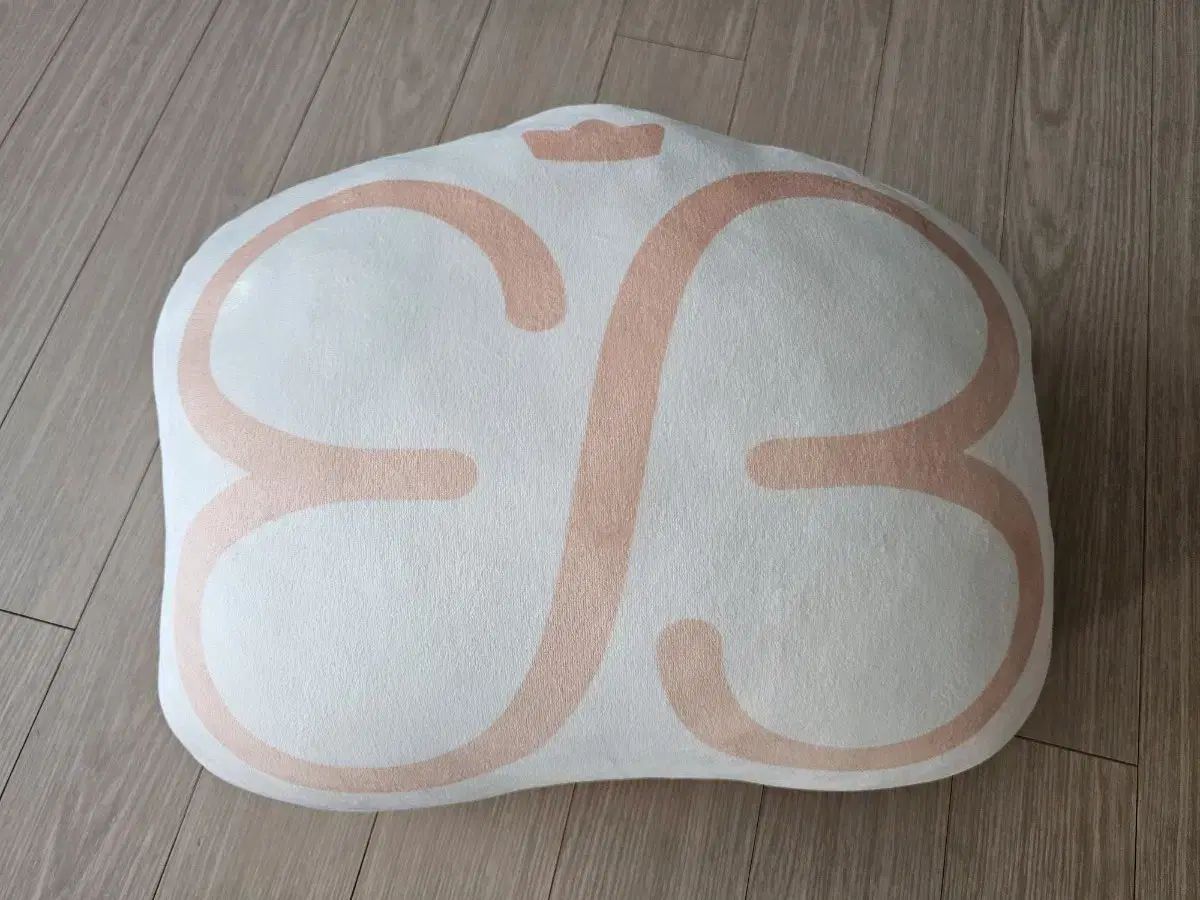 パク ウンビン PARK EUNBIN 俳優 빈칸 クッション