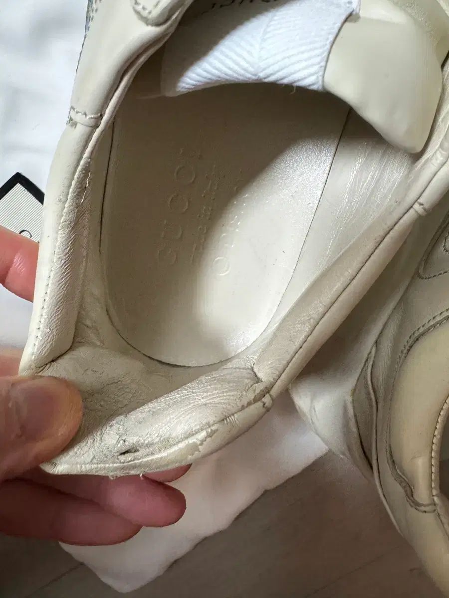  グッチ ディズニー ライトン スニーカー スニーカー 靴