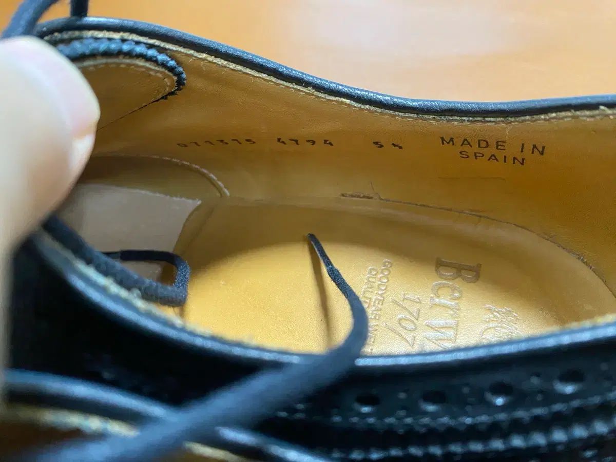 234 ウイングチップ